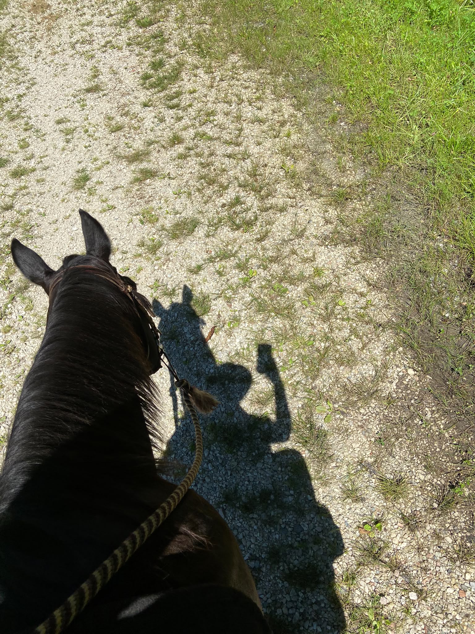 Passeggiata a cavallo