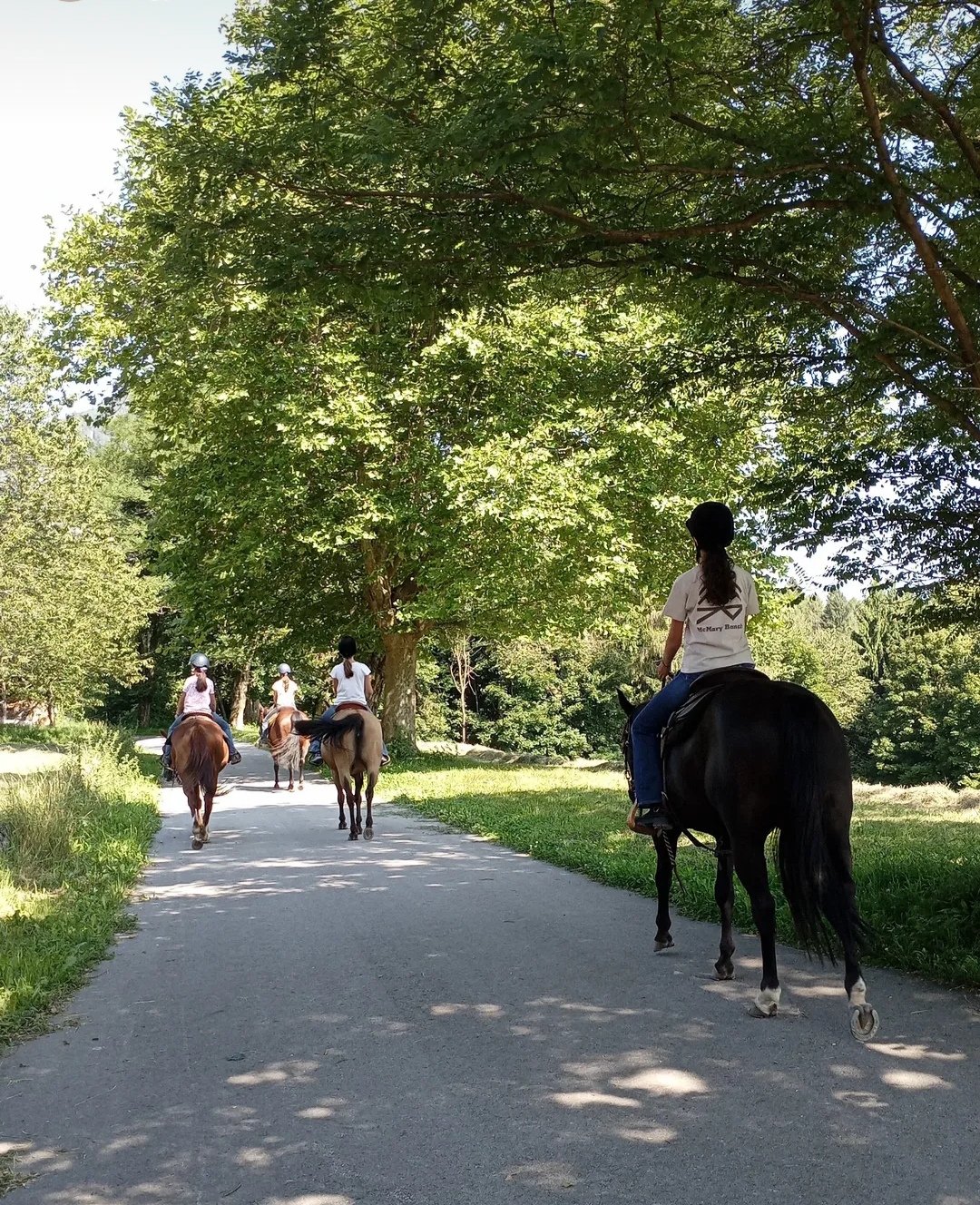 Passeggiate a Cavallo